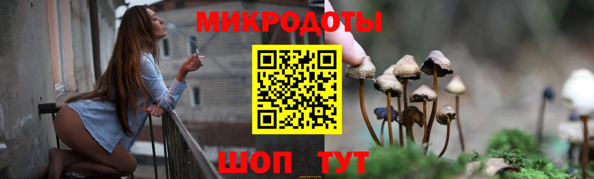 Псилоцибиновые грибы GOLDEN TEACHER Балабаново